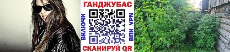 Виды наркоты Мытищи Псилоцибиновые грибы  mega зеркало  ГАШ  МЕФ  Марихуана  APVP 