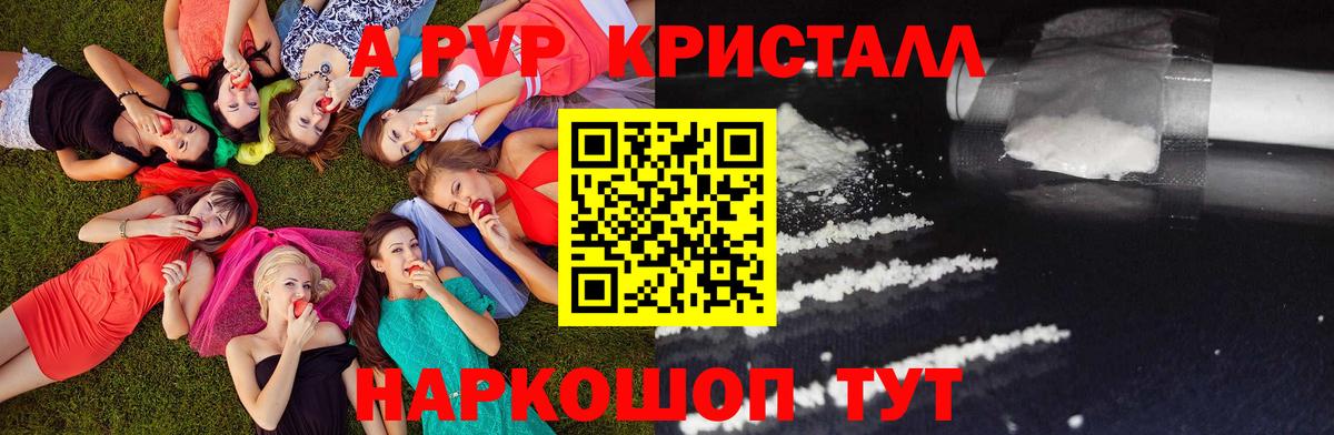 Альфа ПВП СК КРИС Мытищи