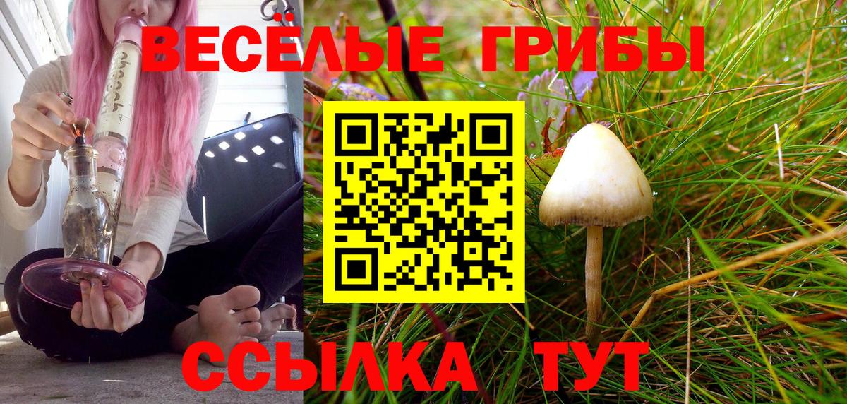 наркошоп  Галлюциногенные грибы Psilocybine cubensis  Вход с VPN  Мытищи  Галлюциногенные грибы MAGIC MUSHROOMS 